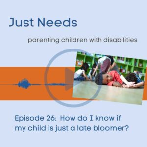 Click to play Just Needs Podcast: Parenting children with disabilities episode 26 on Buzzsprout.