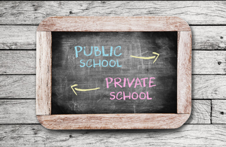 To visualize school choice, a chalkboard says Public School and Private School with arrows going in opposite directions.